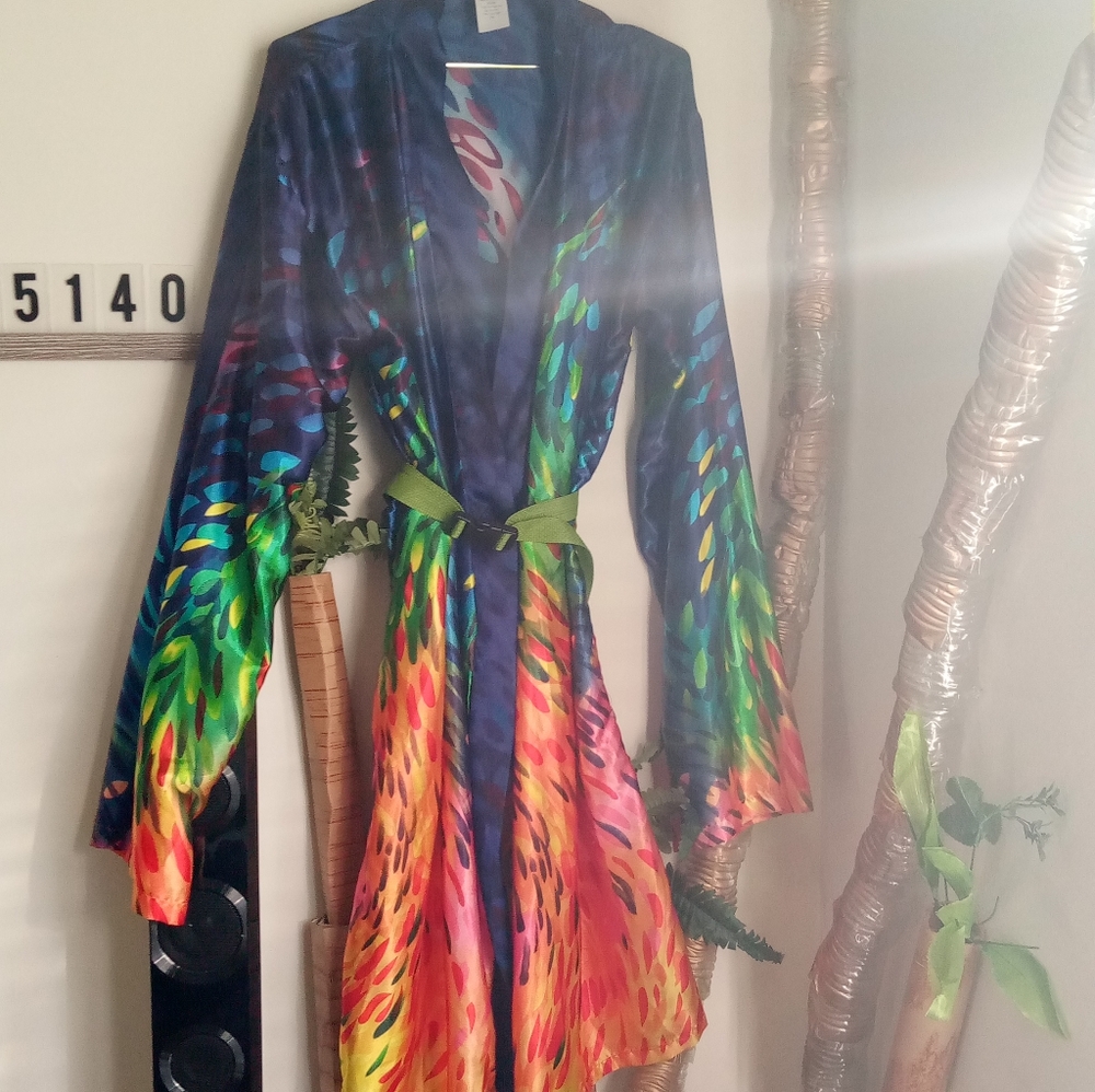 Dreaming Silk Kimono - Picture 3 of 14